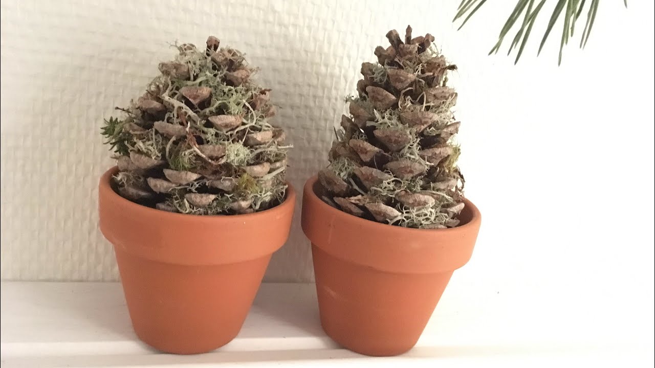 Cactus di pigne - artigianato semplice con le pigne