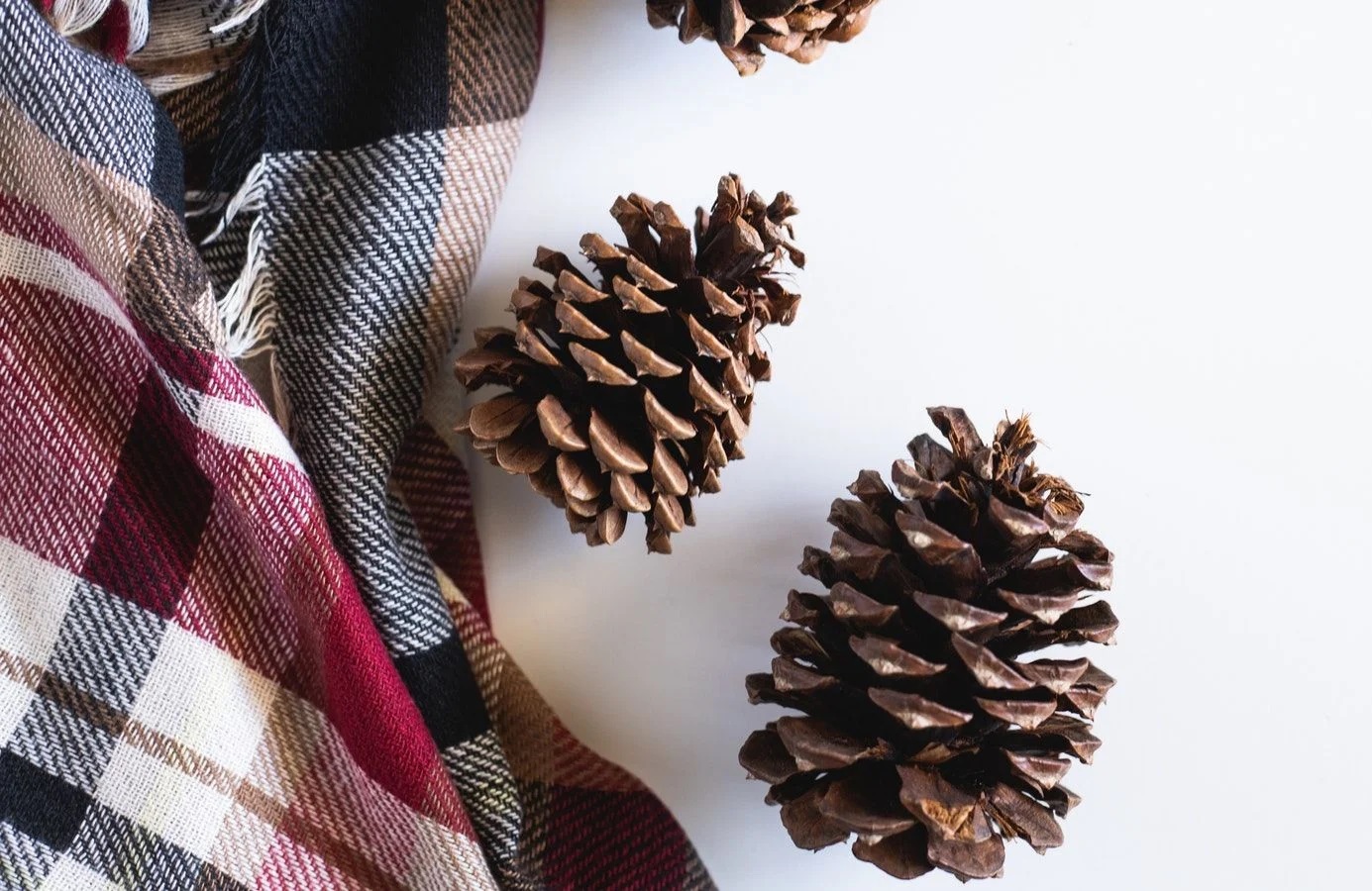 Pinecone Crafts - 14 Pinecone Art Ideas to Try Today