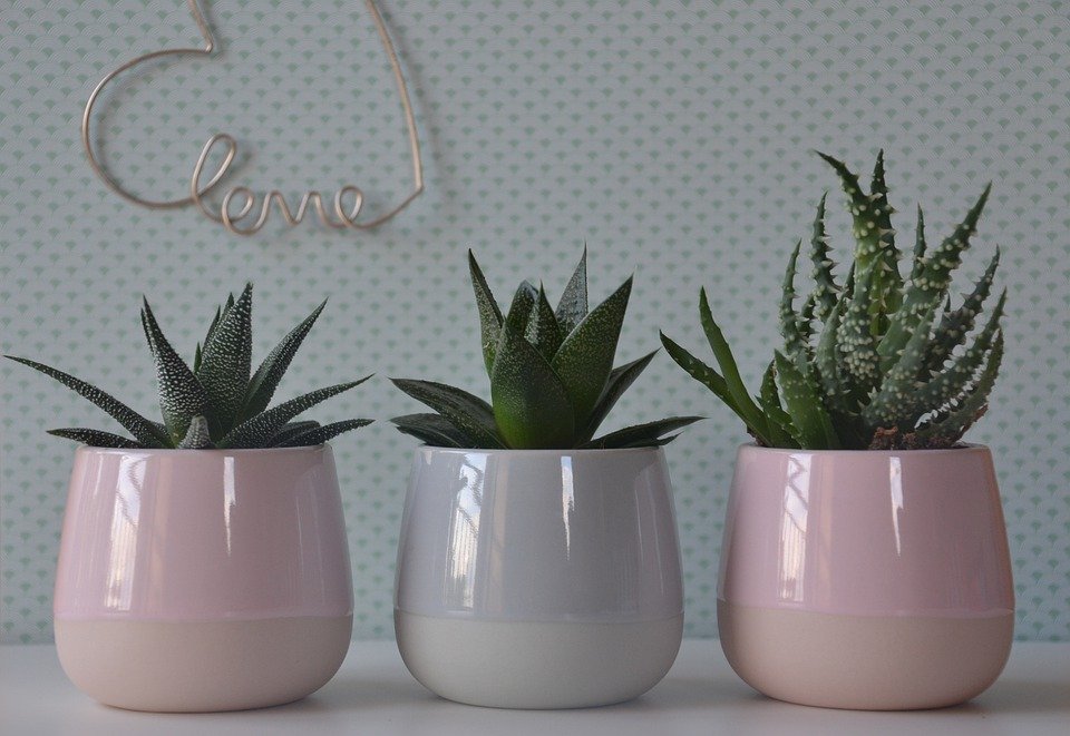 Pastel flower pots