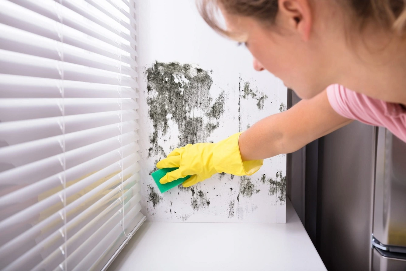 How to Get Rid of Mold on Walls - 5 Best Mold Removal Methods