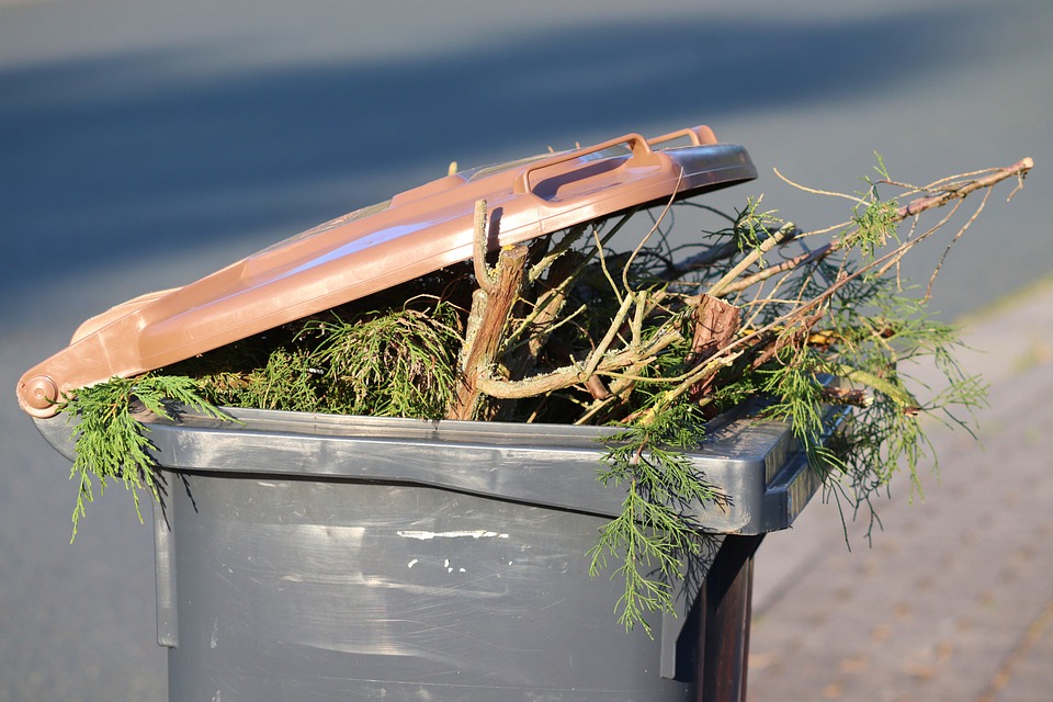 Cenne lifehacki - jak sortować śmieci w domu, aby ułatwić sobie życie?