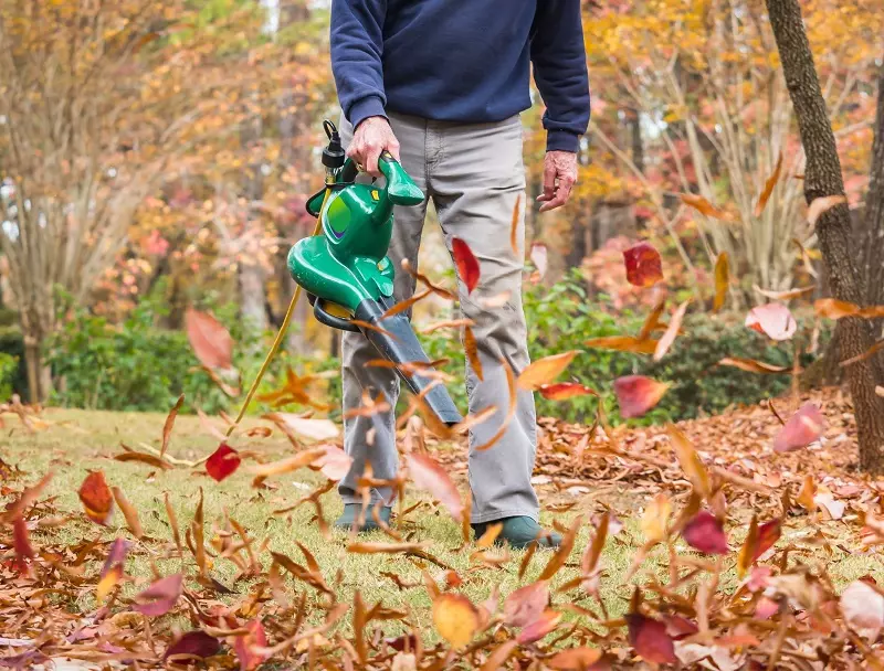 Las mejores herramientas para el mantenimiento del jardín en otoño