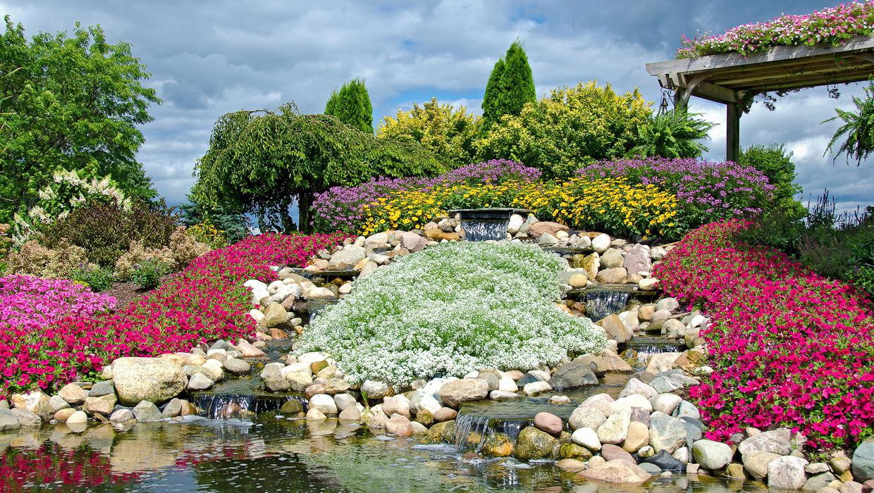 Diseño de paisaje de jardín con un jardín de rocas