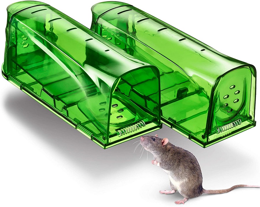 Una trappola per topi umana - sbarazzarsi dei topi in modo naturale