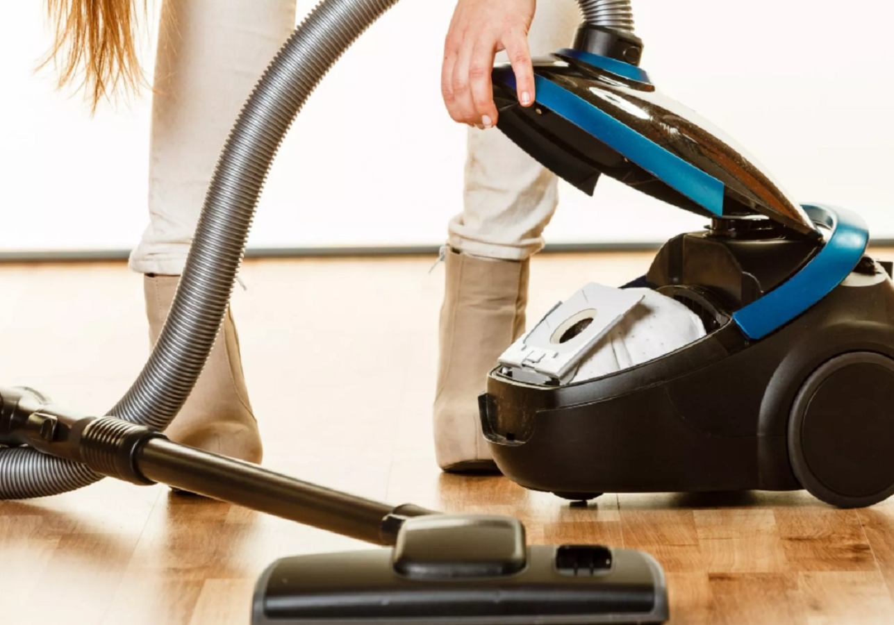 7 Best Electrolux Vacuum Cleaners for December 2022 | Check Reviews