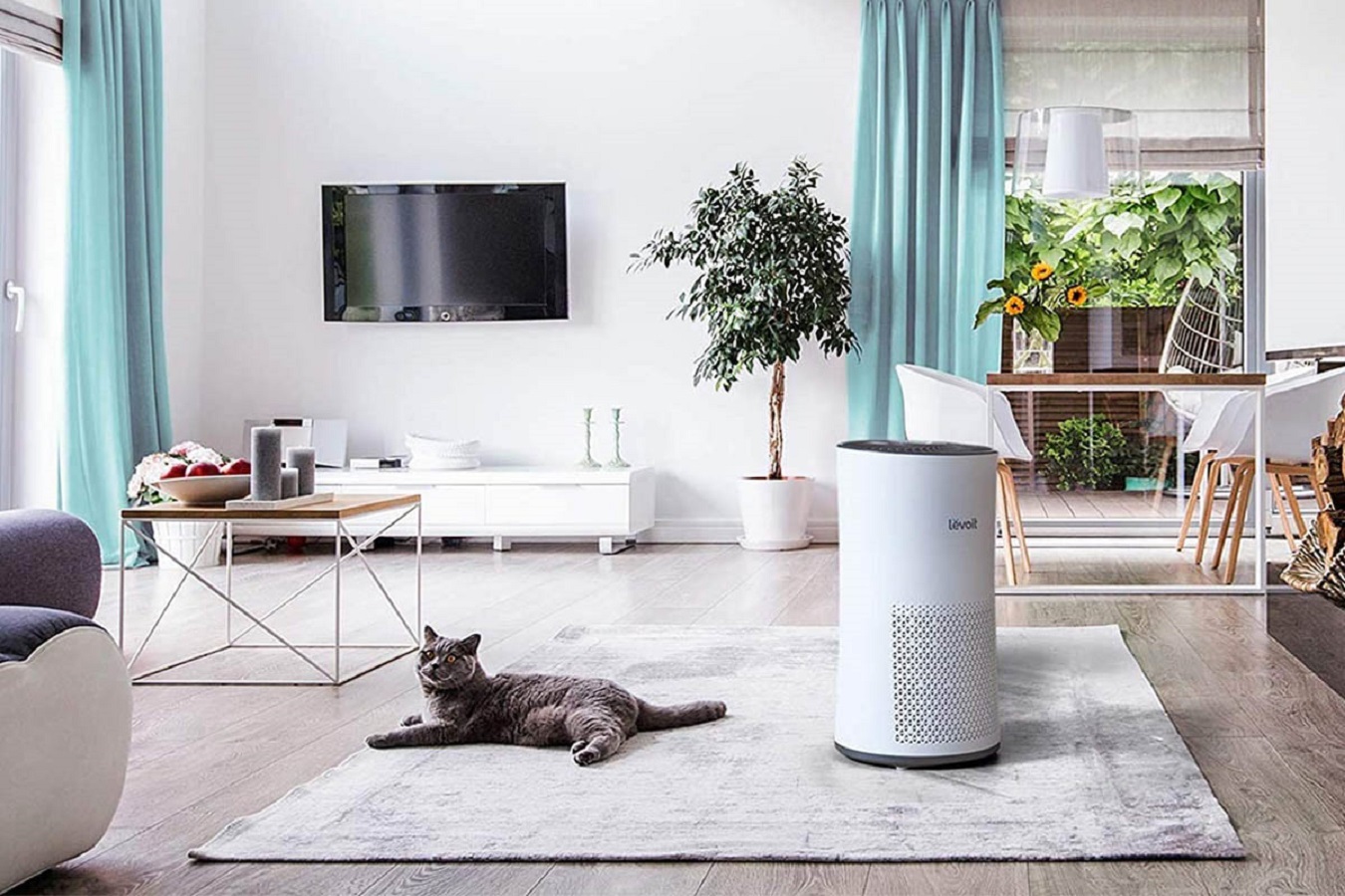3 Top Rated Best Air Purifiers for May 2022 | Check Prices