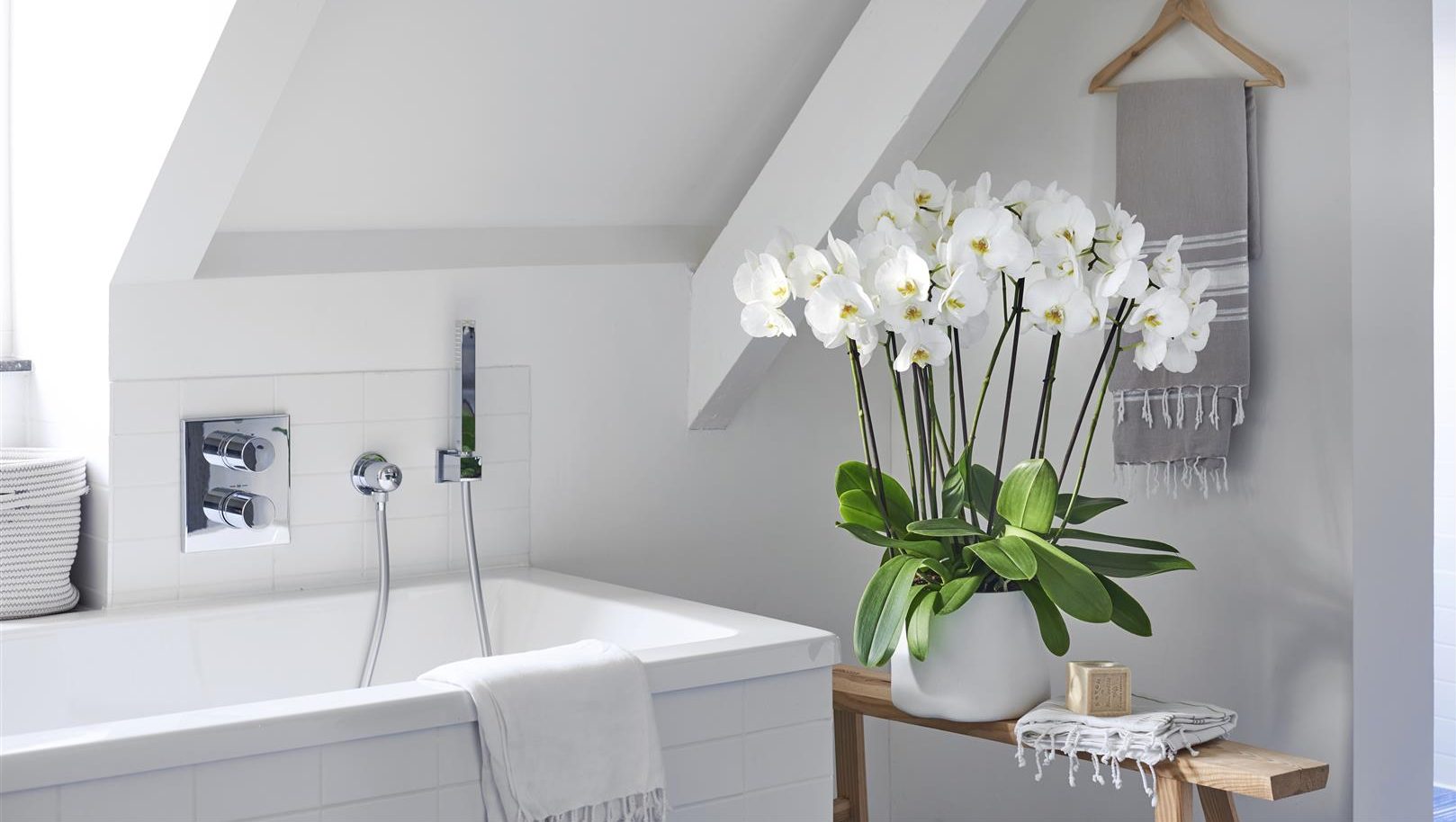 Decorative bathroom plants - a charming orchid