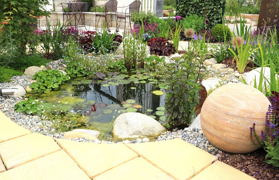 Why are pond plants worth having?