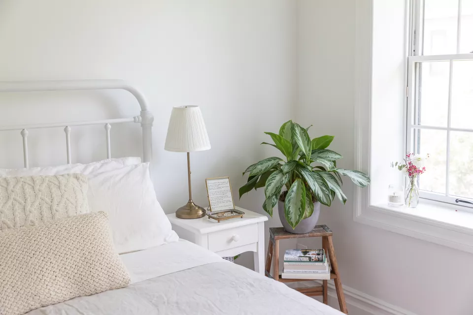 Sind Pflanzen im Schlafzimmer eine gute Idee?