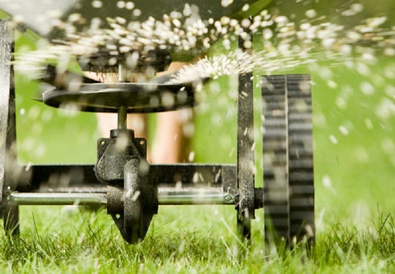 Kann man Kalk auf den Rasen auftragen, ohne die Hilfe eines Fachmanns in Anspruch zu nehmen?