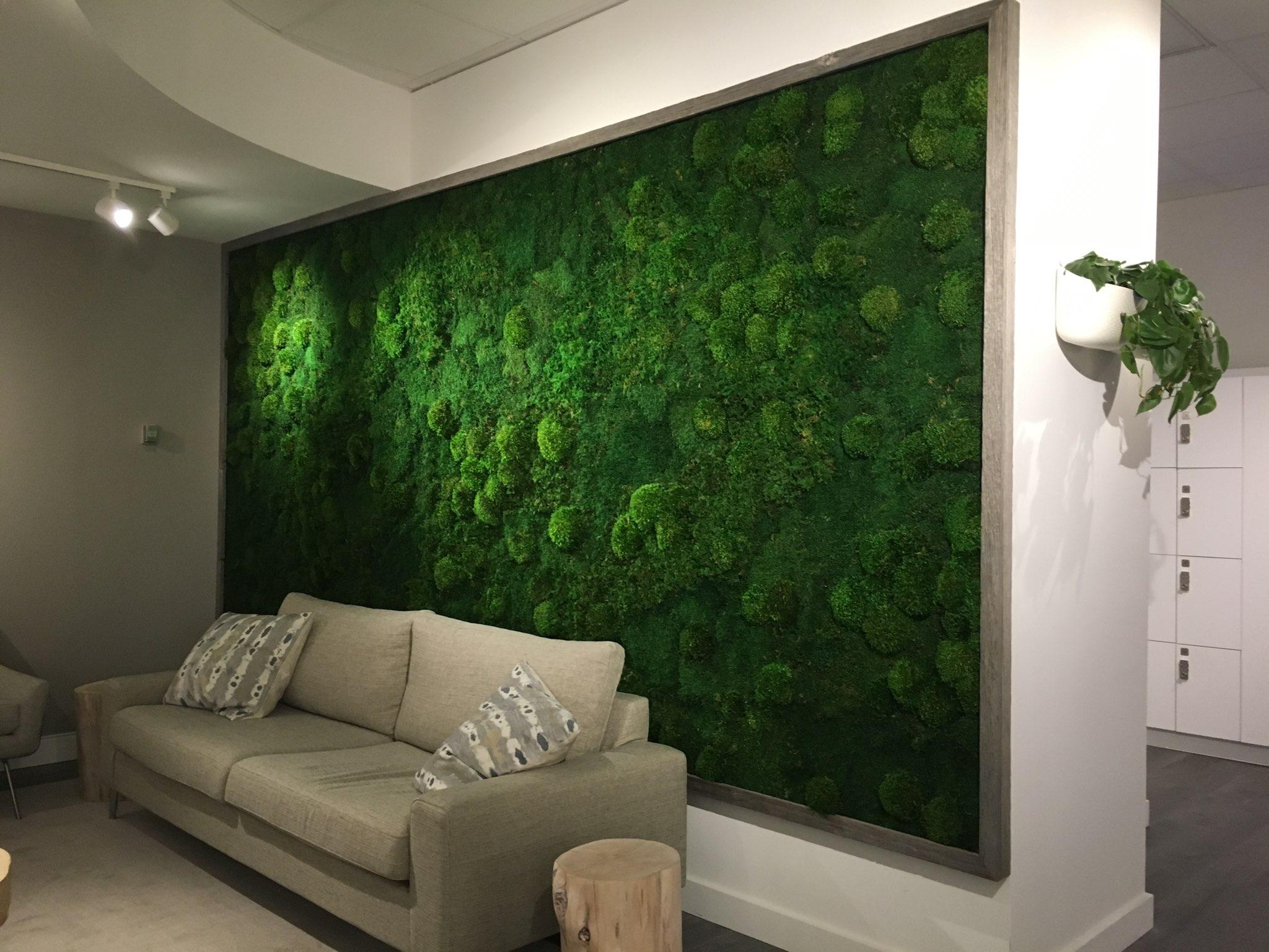 Moss wall - an original decoration