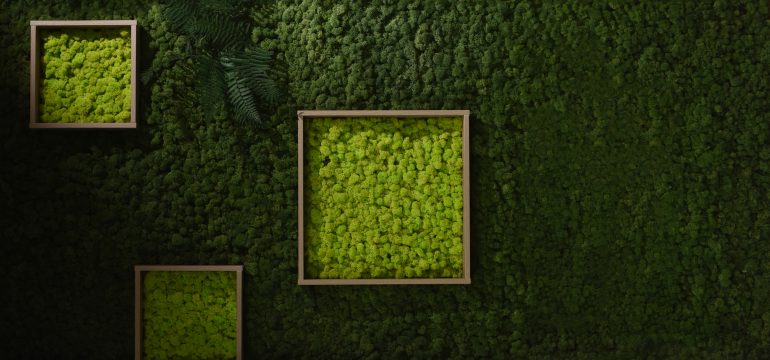 What is a moss wall?
