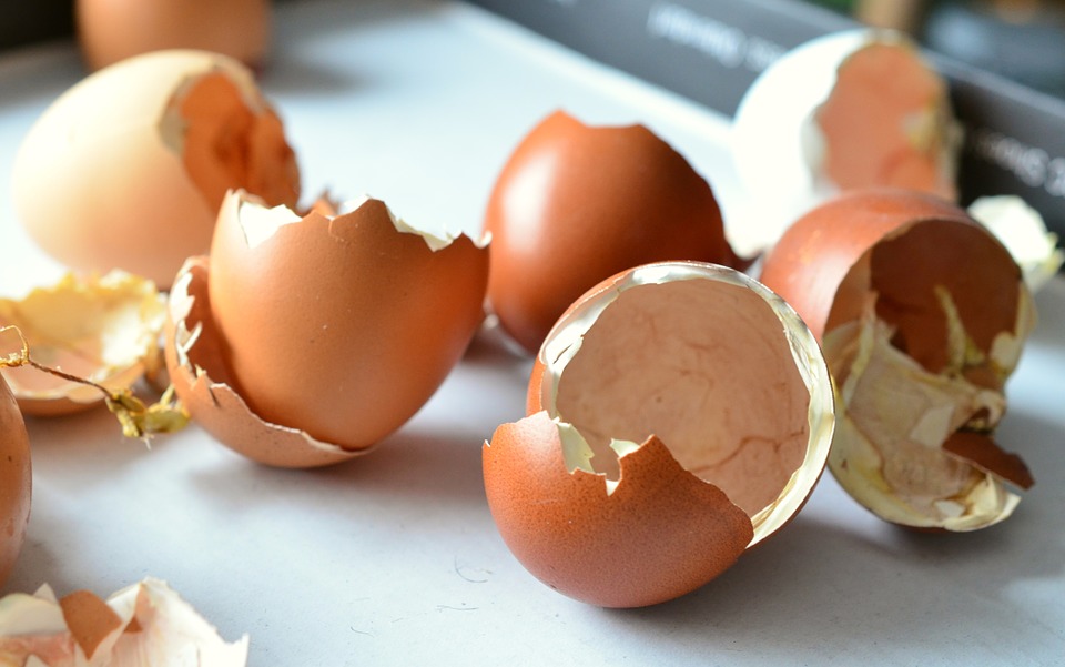 Küchenabfalltrennung - was tun mit Eiern und Joghurtbechern?