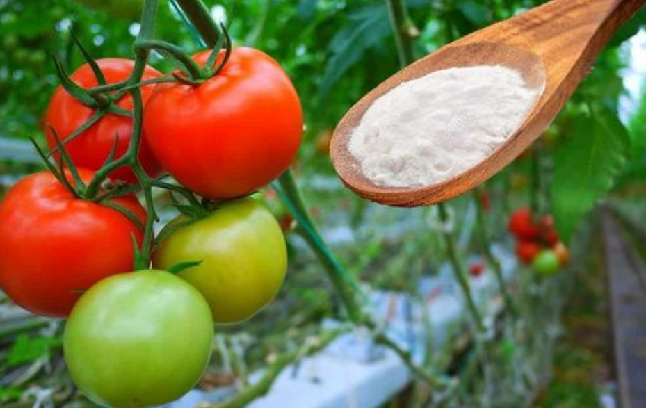 Killing aphids with baking soda – a perfect solution for insects in your garden