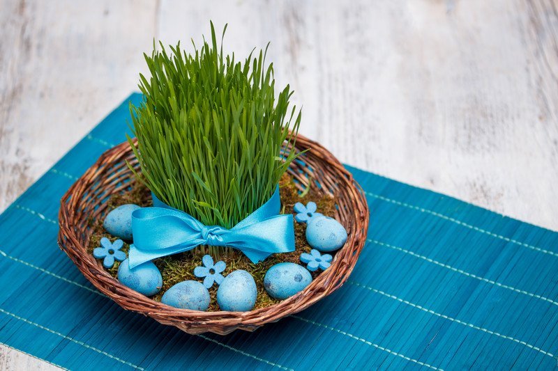Easter centerpieces - plants and Easter eggs