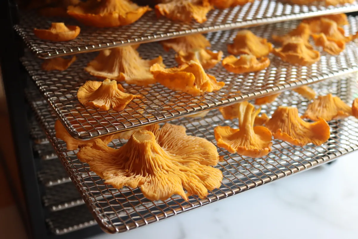 How to dry mushrooms in an oven?