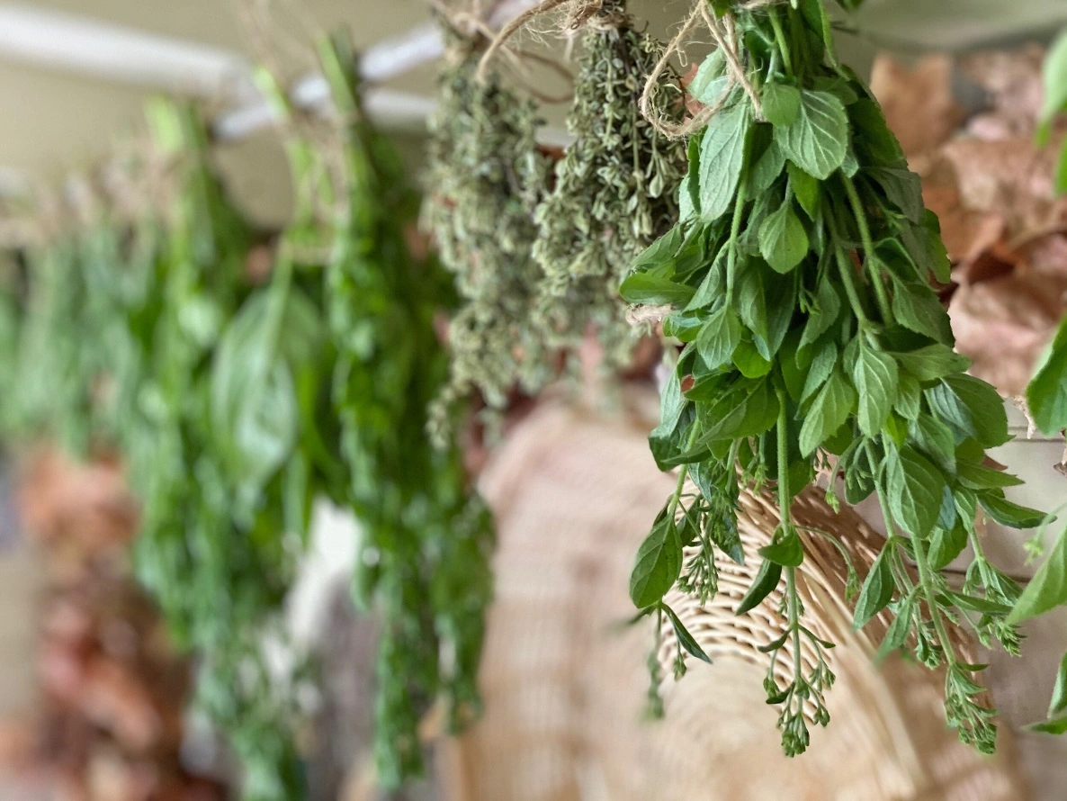 How to Dry Herbs? 3 Best and Fastest Herb Drying Methods