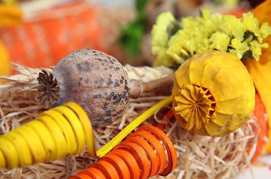 Flores secas - Decoraciones de otoño de bricolaje para todos