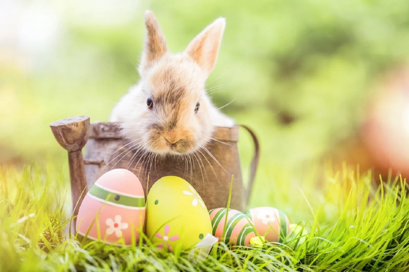 Pasqua - Scopri le Tradizioni Pasquali più Affascinanti