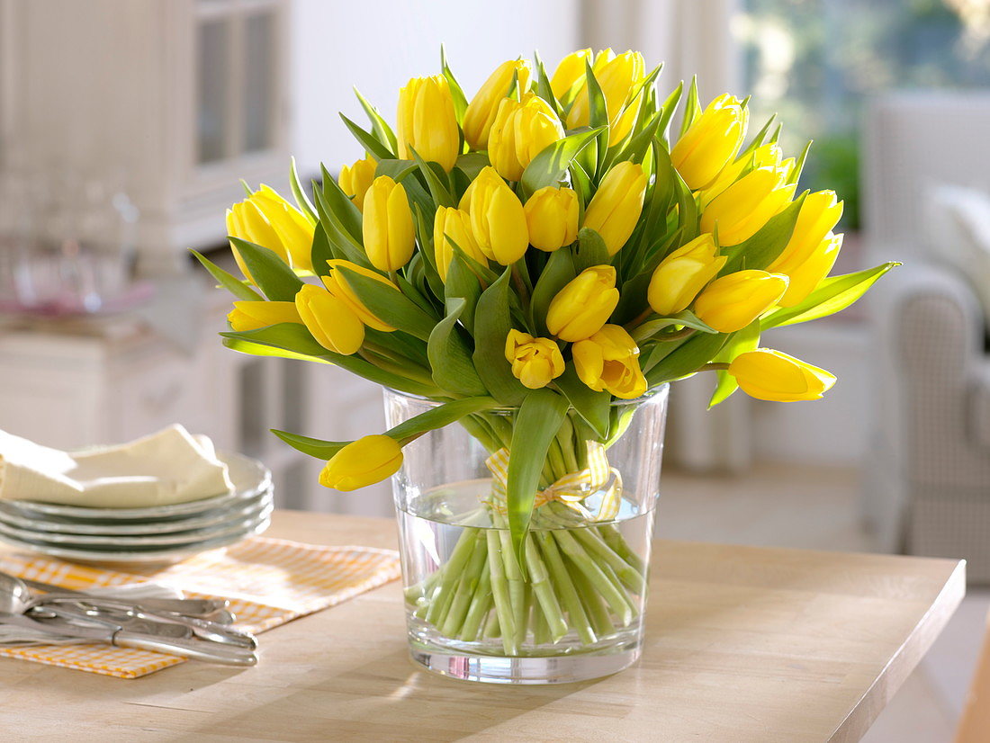 Flores de tulipán de oro fuerte