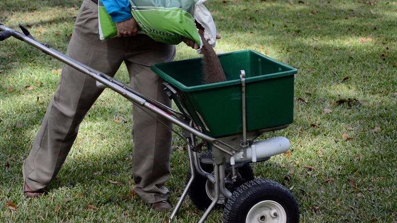 L'application de la chaux sur la pelouse - avez-vous besoin d'un équipement spécial ?