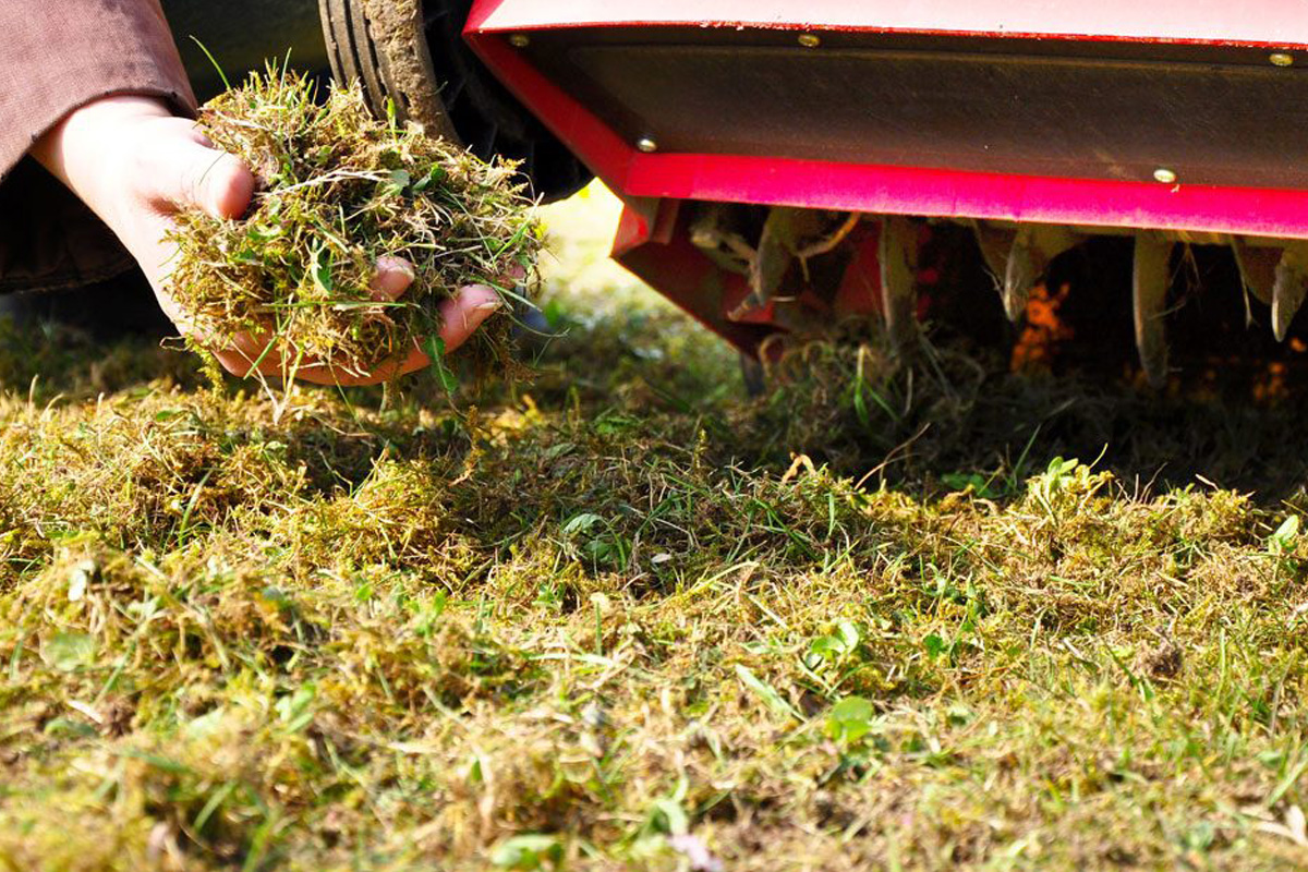 Why scarifying lawn? Pros and cons of dethatching lawn
