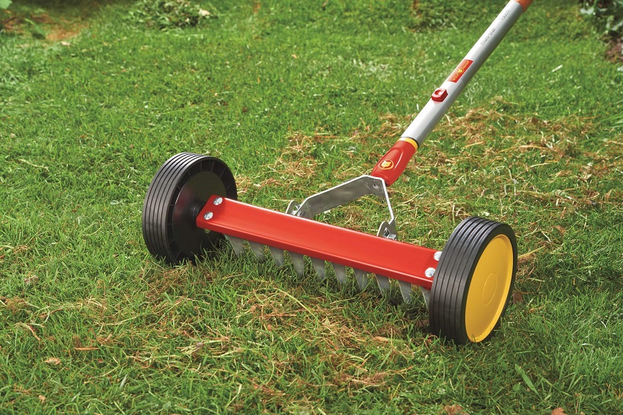When is the best time for scarifying lawn?