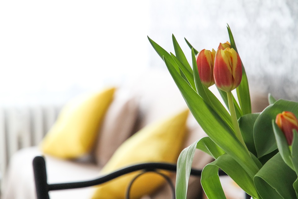 Arredamento di primavera - 4 splendide idee per la decorazione della casa in primavera