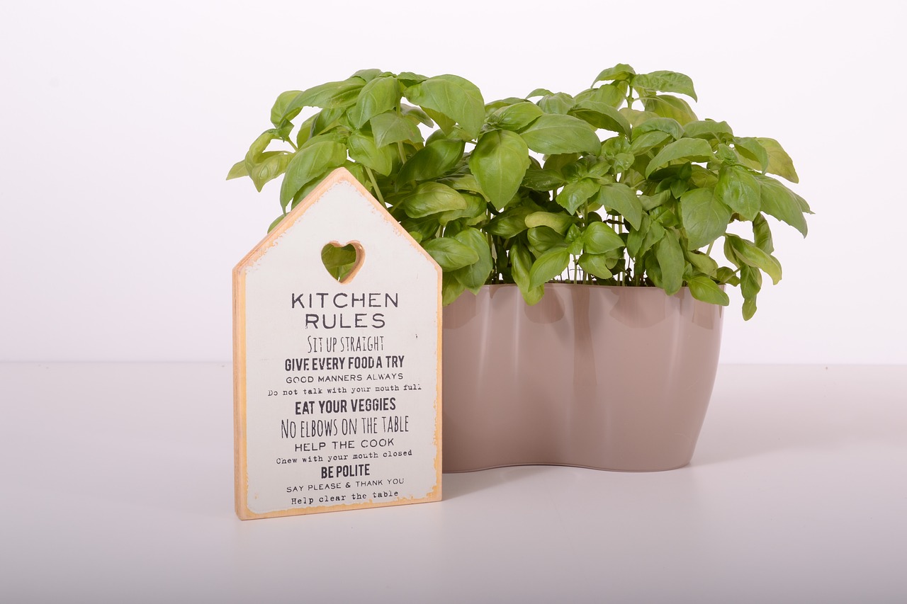 Fresh Kitchen Herbs - 6 Absolutely Essential Culinary Herbs